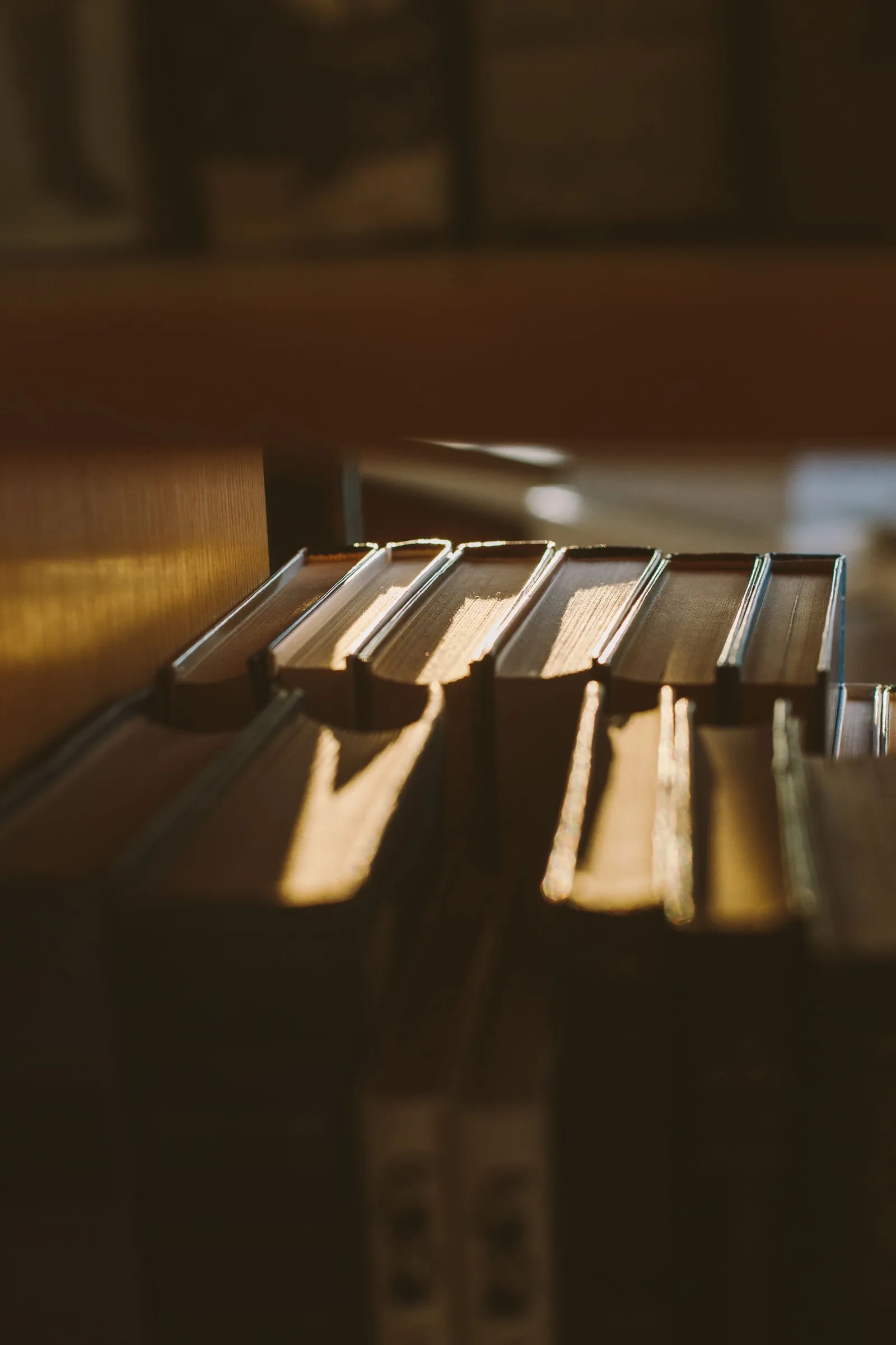 Warm light falling across books on a library shelf